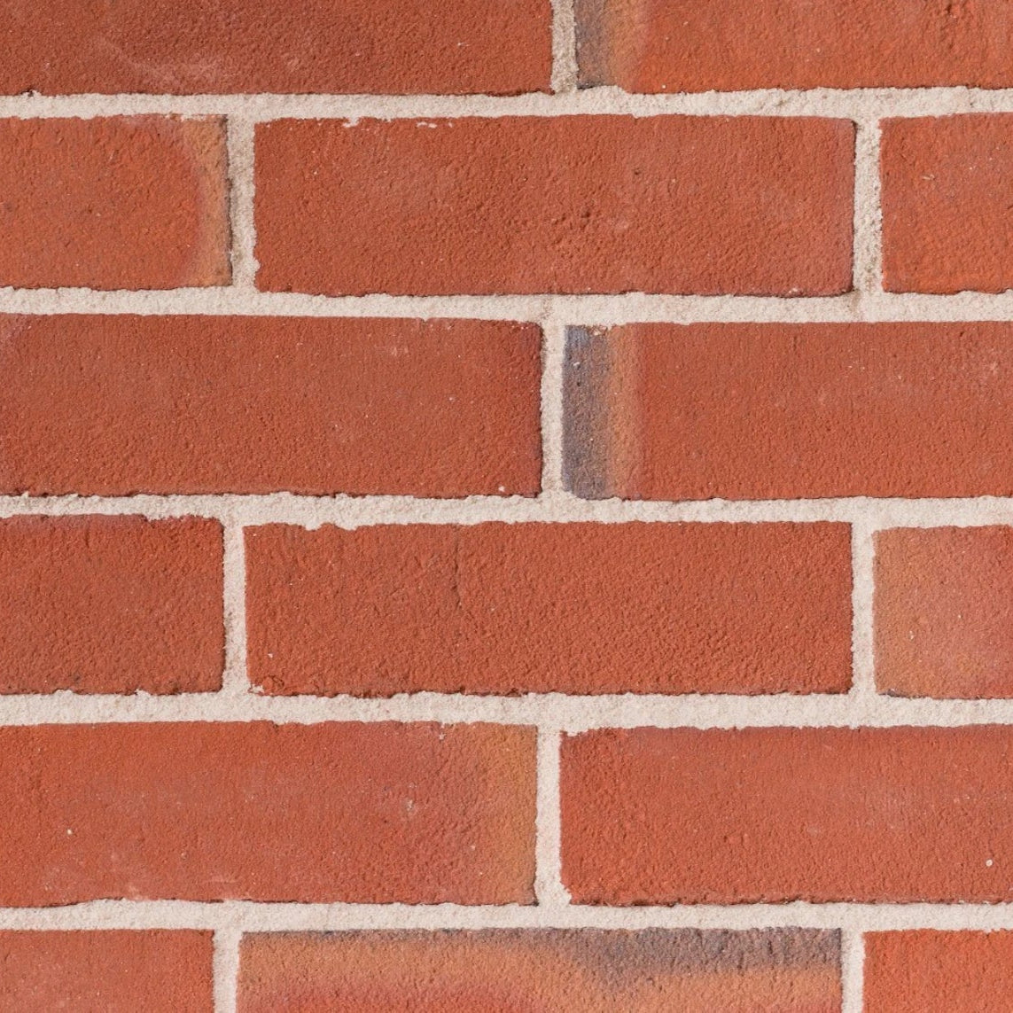 Barton Light (Red) Multi