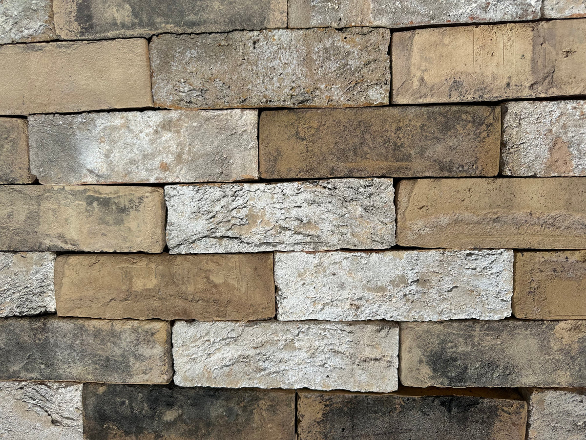 Barker Buff Blend