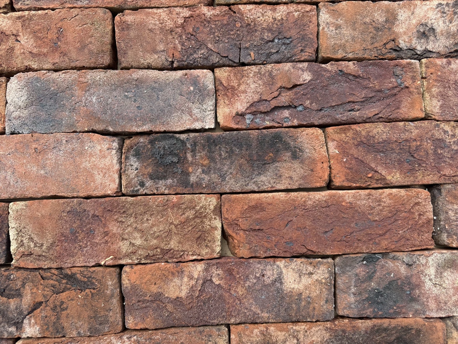 Antique Purple multi